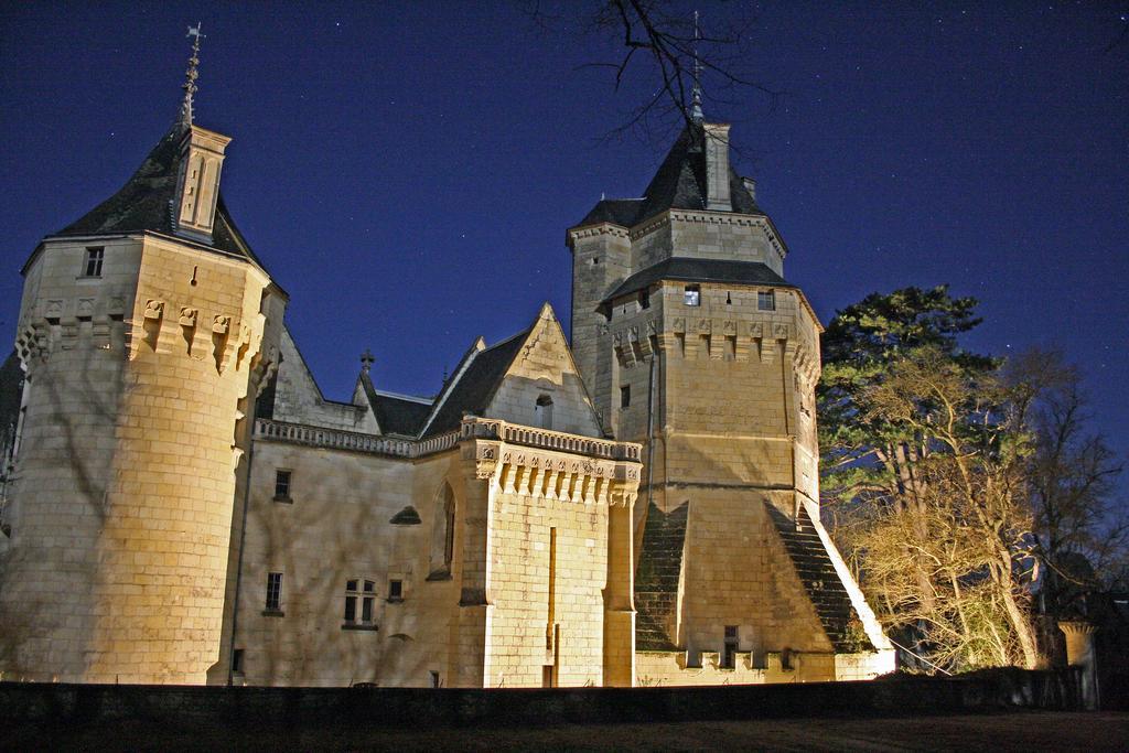 Chateau De Ternay Ternay  Eksteriør bilde
