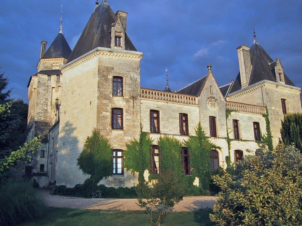 Chateau De Ternay Ternay  Eksteriør bilde